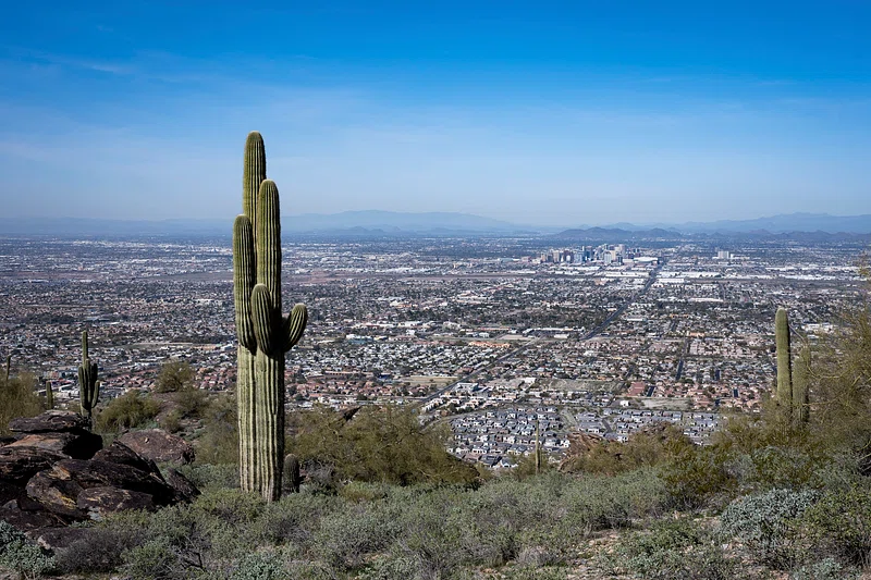 Phoenix Newcomer’s Guide Best Neighborhoods for Families, Young Professionals, and Retirees