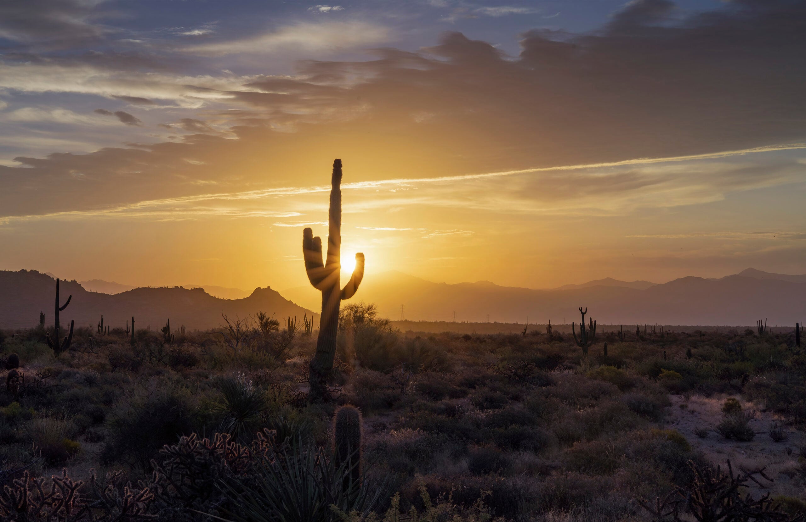 The Ultimate Guide to Moving in Phoenix Summers