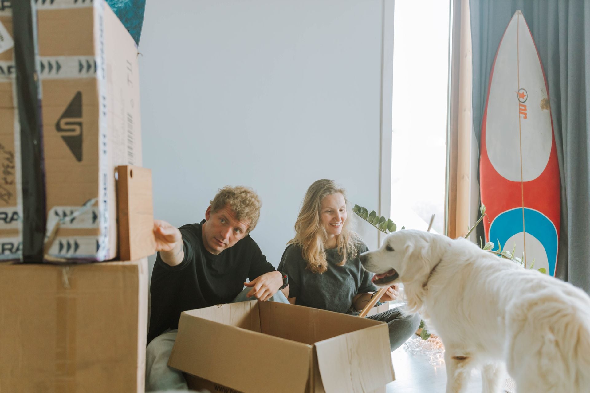 JIT Moving Moving With Pet
